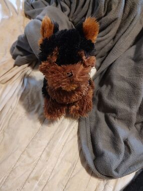 Webkinz Teacup Yorkie